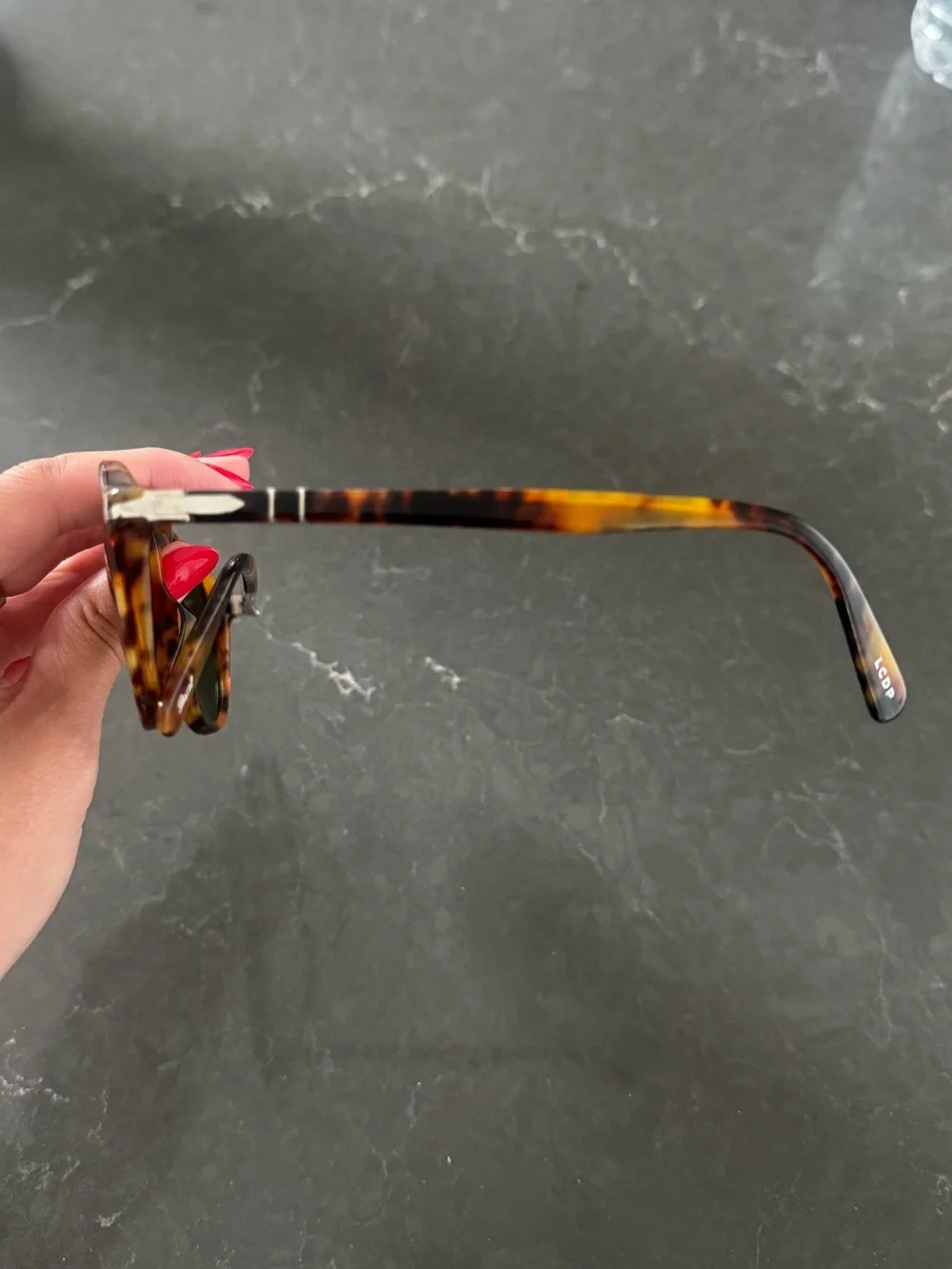 Persol El Profesor Sunglasses - unisex